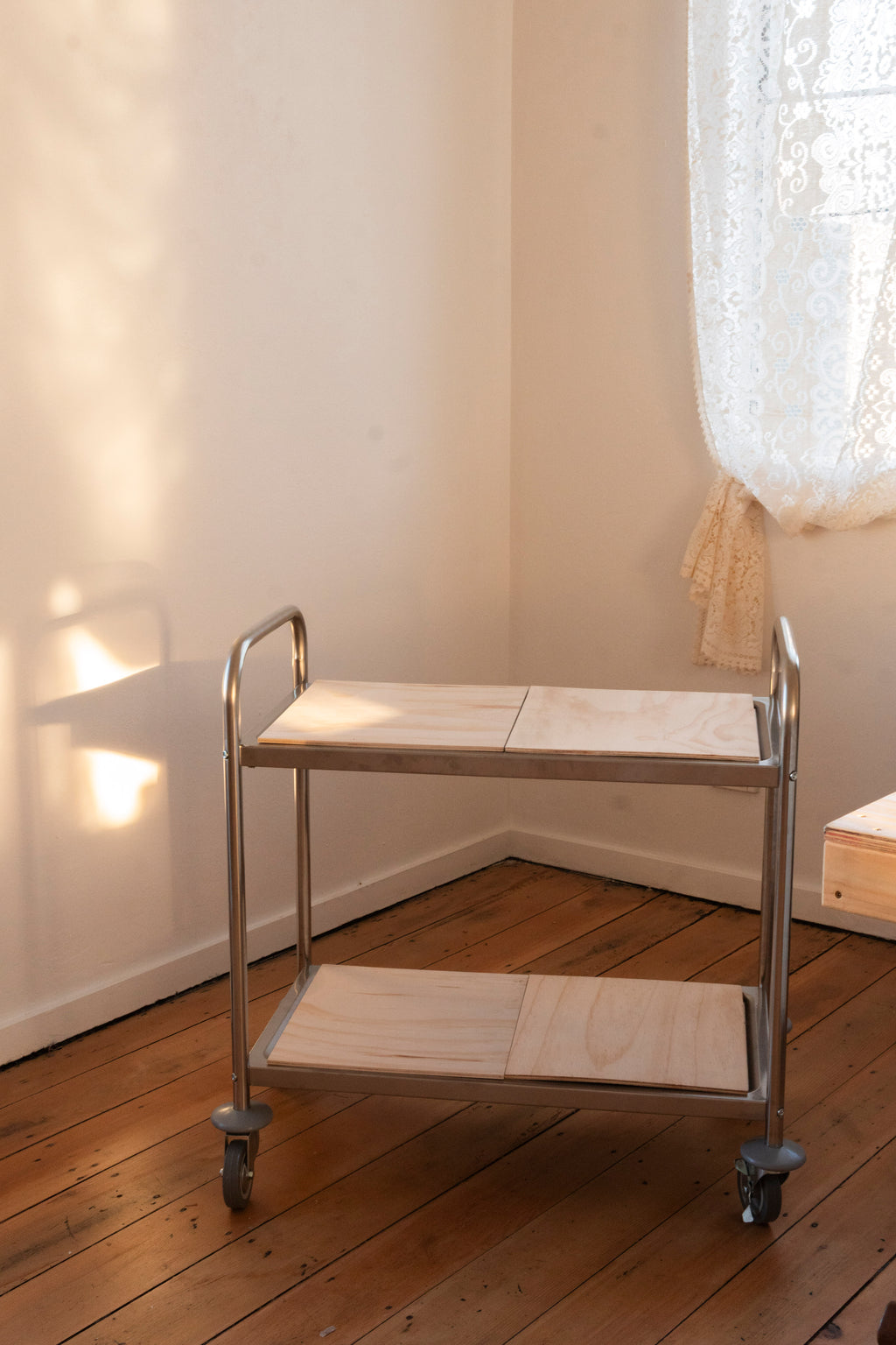 Stainless Steel Trolley