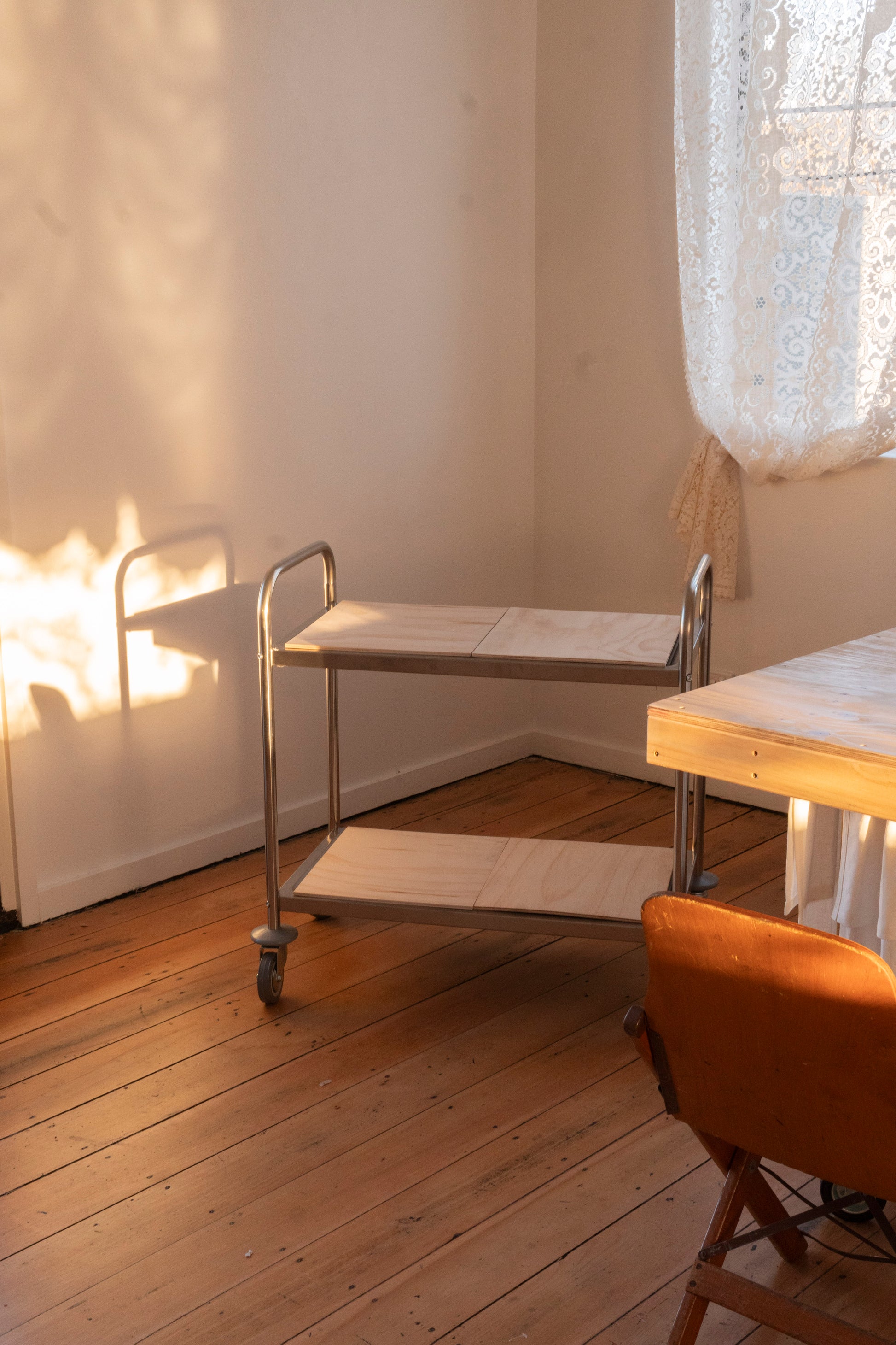 Stainless Steel Trolley